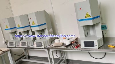 Standard Dental Lab Co., Limited linia produkcyjna producenta