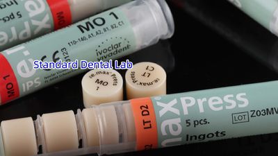 Standard Dental Lab Co., Limited linia produkcyjna producenta