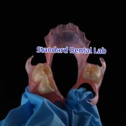 Standard Dental Lab Co., Limited linia produkcyjna producenta