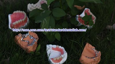 Standard Dental Lab Co., Limited linia produkcyjna producenta