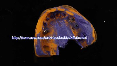 Standard Dental Lab Co., Limited linia produkcyjna producenta