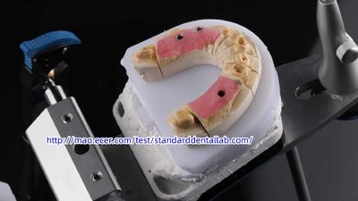 Standard Dental Lab Co., Limited linia produkcyjna producenta