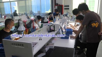 Standard Dental Lab Co., Limited linia produkcyjna producenta