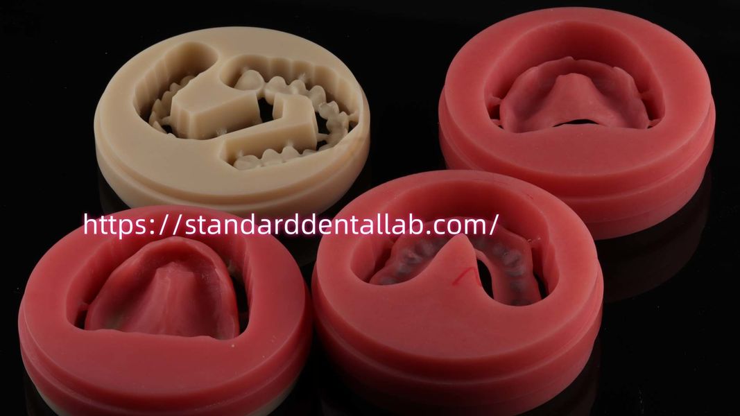 Standard Dental Lab Co., Limited linia produkcyjna producenta