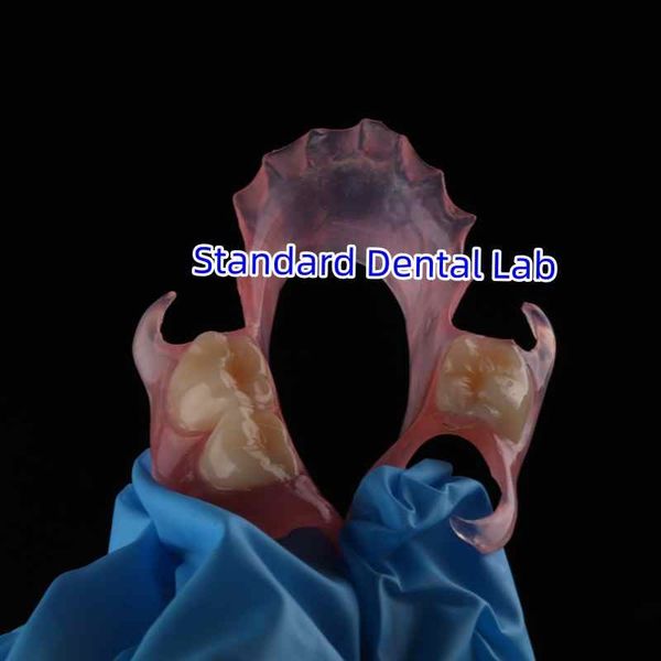 Standard Dental Lab Co., Limited linia produkcyjna producenta