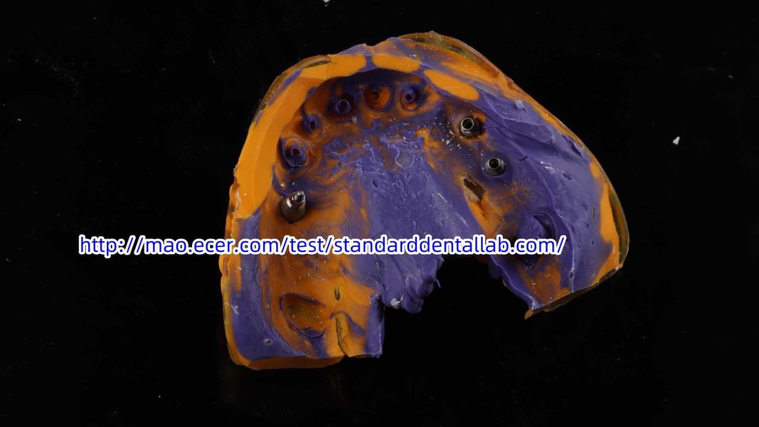Standard Dental Lab Co., Limited linia produkcyjna producenta