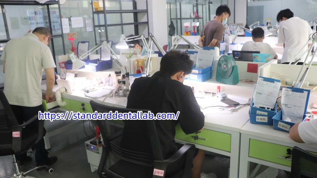 Standard Dental Lab Co., Limited linia produkcyjna producenta