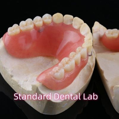 kupować Wysokiej estetyki akrylowe zęby częściowe zęby dentystyczne z żywicy z podstawą produkcja internetowa