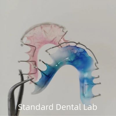kupować Hawley Wrap Around Orthodontic Retainer Dental Acrylic Palate produkcja internetowa