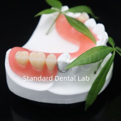 kupować Wysoka estetyka Dentsply Lucitone 199 Dentura akrylowa żywica akrylowa do protez China Dental lab produkcja internetowa