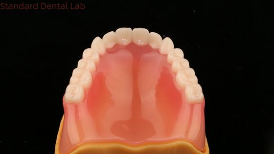 kupować Całkowite zęby Ivoclar Całkowite zęby akrylowe Zęby SDL Dental Lab produkcja internetowa