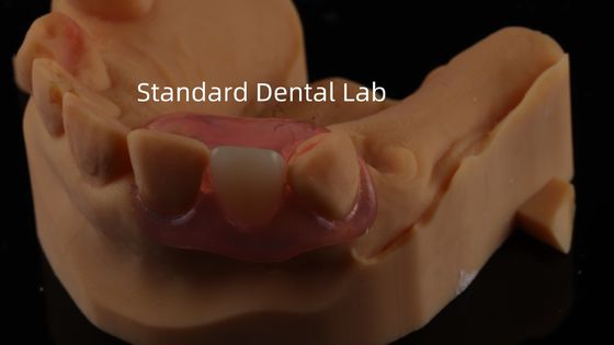 Zębowe TCS Valplast Elastyczne zęby częściowe Nesbit Valplast Finish China Dental Lab Valplast Clap