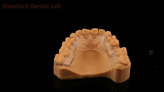 Idealne dopasowanie Niemcy Ortho Zęby Halley Retainer dla estetyki i regulowania Jasny Cienie SDL Dental Lab