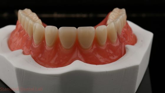 Dentsply Lucitone 199 Zęby akrylowe dla naturalnego wyglądu