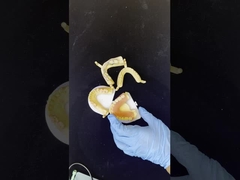 Dentsply Lucitone 199 Zęby akrylowe dla naturalnego wyglądu