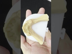 Stopy metalowe Częściowy Kobalt Zęby chromowe Ivoclar Scheftner Wygodne metalowe ramy