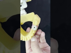 Porcelana All On Four Zirkonia Bridge Wysoka estetyka Implant zębowy