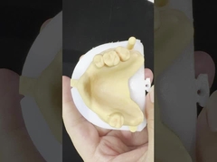 Stopy metalowe Częściowy Kobalt Zęby chromowe Ivoclar Scheftner Wygodne metalowe ramy